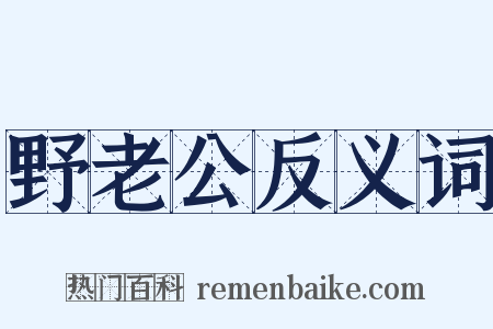 野老公反义词是什么意思的图片